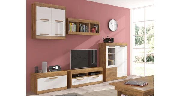 TV stolek GATTON s dvířky, dub burgundský/bílý lesk