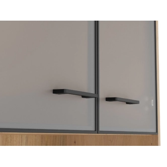 Vitrína BELLARMINO 2D2W, dub artisan/černý mat