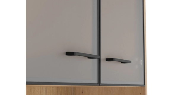 Vitrína BELLARMINO 2D2W, dub artisan/černý mat