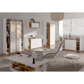 Vitrína DORINDA typ 2 levá, dub artisan/bílá, 5 let záruka