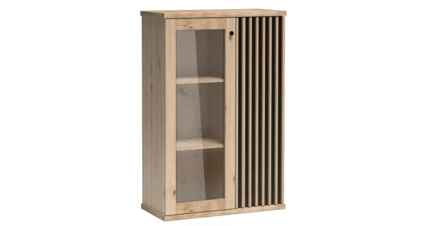 Vitrína FRAGILIS 2D na nohách, dub artisan/černá