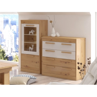 Vitrína GATTON 1D nízká, dub artisan/bílý lesk, 5 let záruka