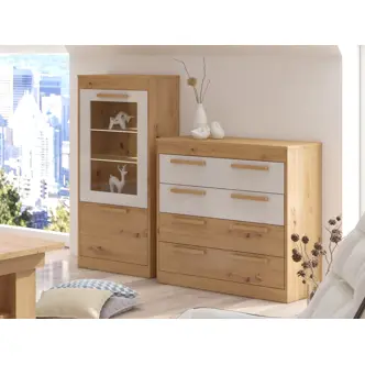 Vitrína GATTON 1D nízká, dub artisan/bílý lesk