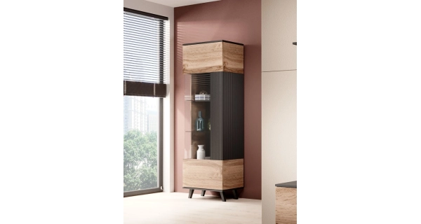 Vitrína HOLLIS 1, dub wotan/černá