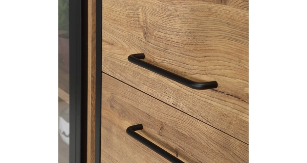 Vysoká vitrína EVIA, dub waterford/černá, 5 let záruka